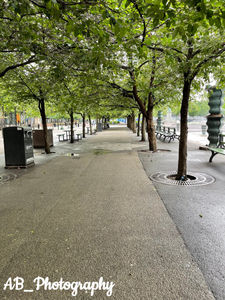 Kungsträdgården