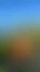 Borgo Le Terrazze Hotel