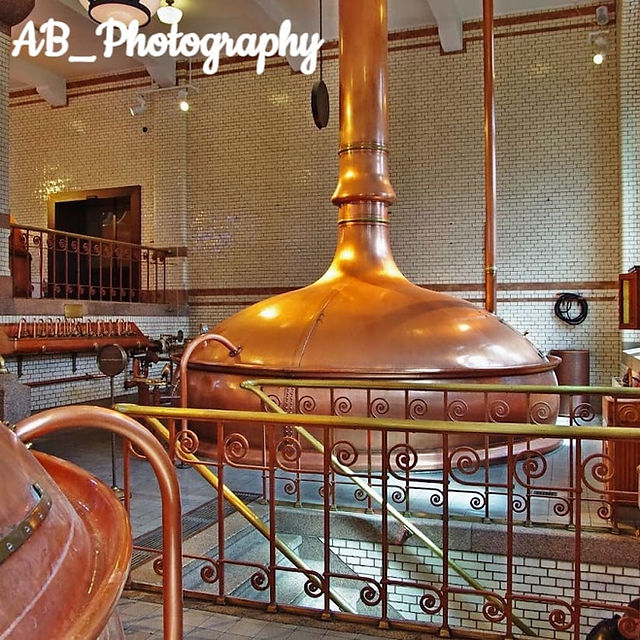 Heineken Experience