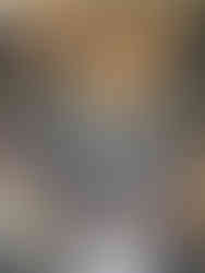 Pažaislis Monastery and Church (Pažaislio vienuolynas)