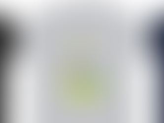 Perfects gift ideas for Monk Parakeet owners!