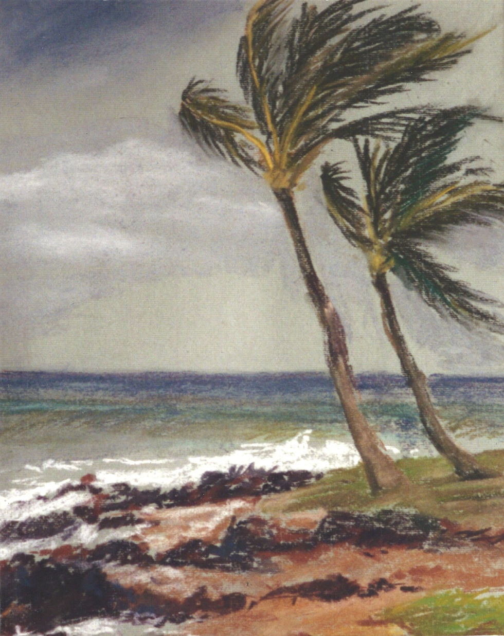 Maui Palms1