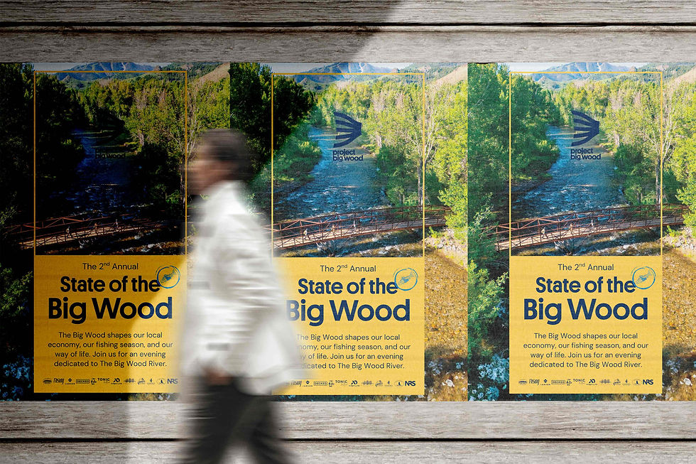 Posters.jpg