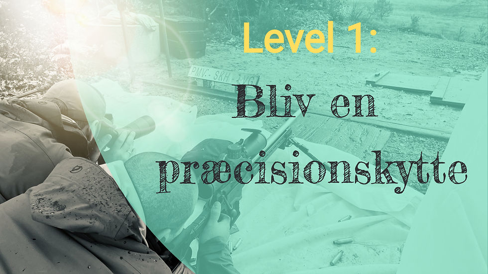 Level 1 - Bliv en præcisionsskytte