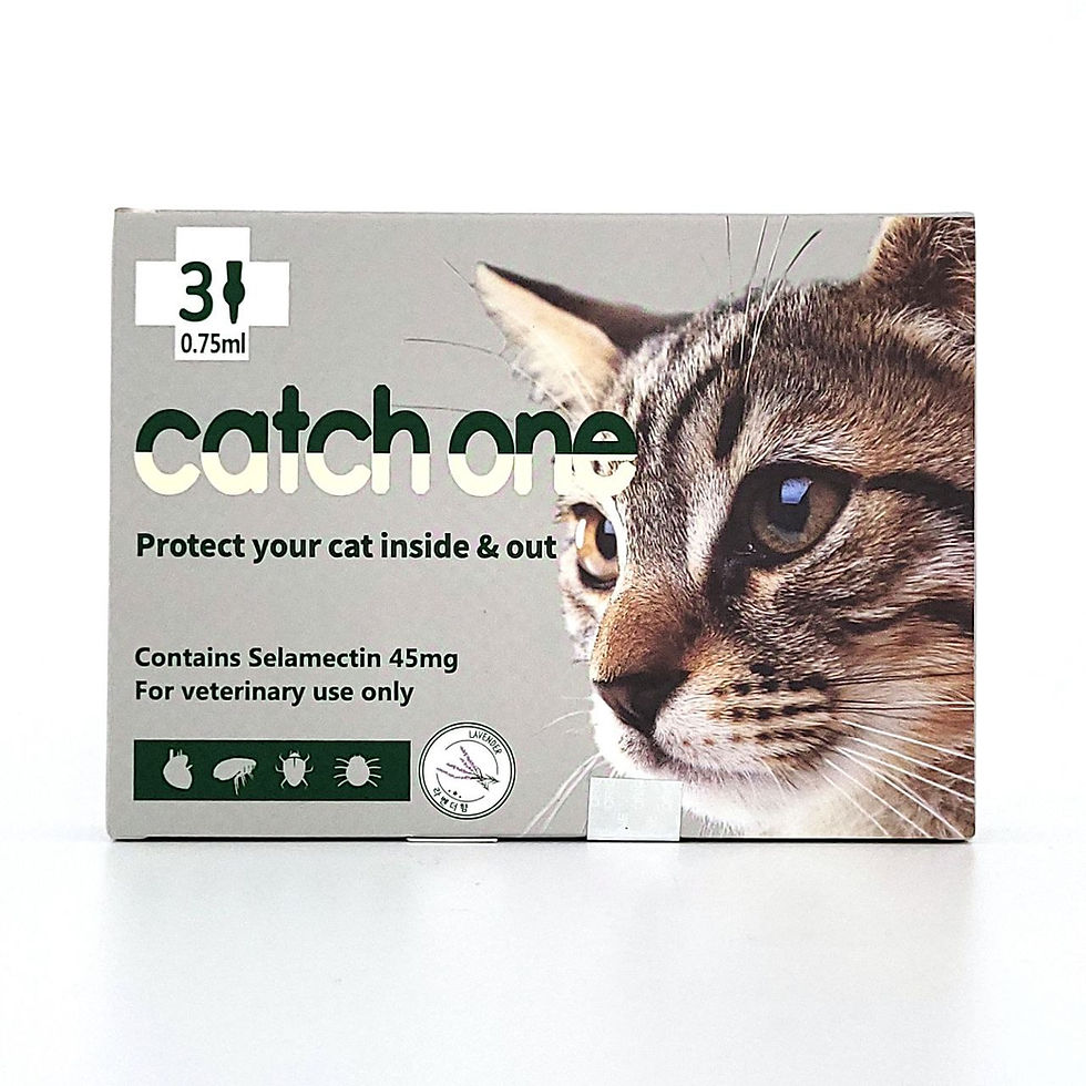 Catch One - Spot On Solution For Cats 2.5 - 7.5 Kg
