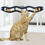 Thumbnail: Window Mounted Cat Toy With Ball Interactive Best Cat Toys For Indoor Cats