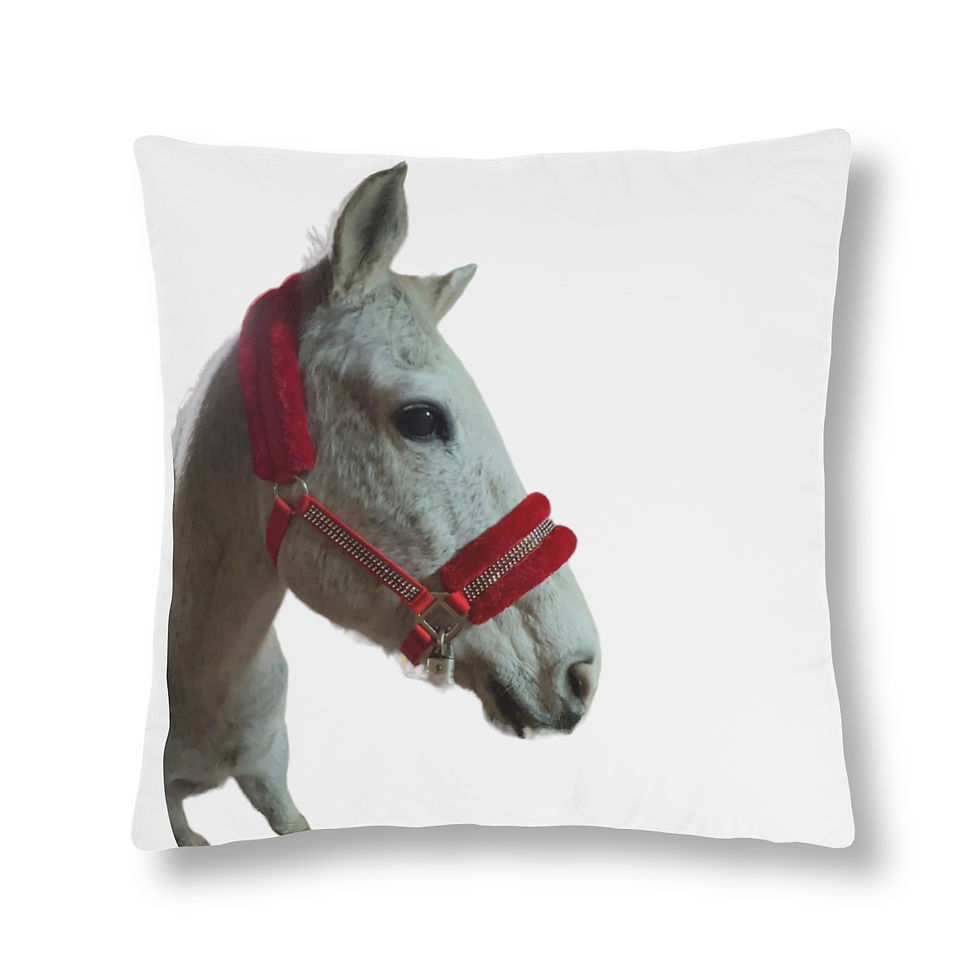 Thumbnail: Horse Pillows Cool Whip  By Baum Enterprise