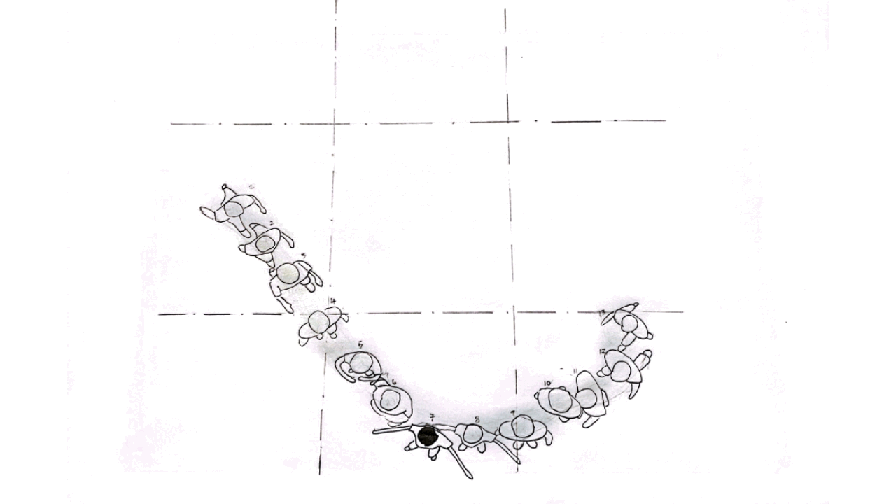 P1A_GROUP3_PLANVIEWS_GIF.gif