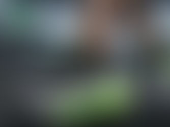 The Best Shoes Just Got Better: Why the AERØ SOLE VORTEX is Our #1 Bestseller for Running Shoes 2025