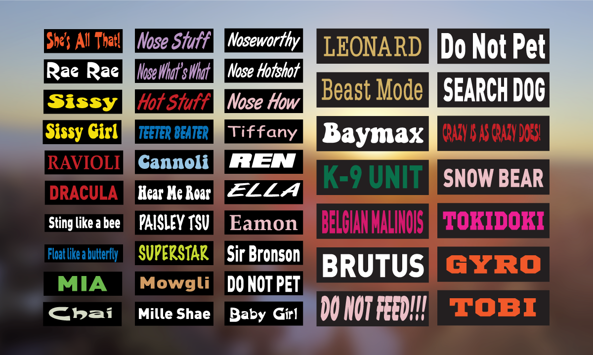 Outrunner Velcro Label Custom Size