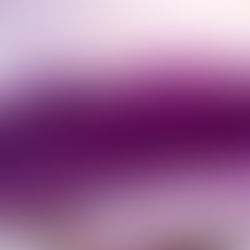 Photo d'Agate Violette