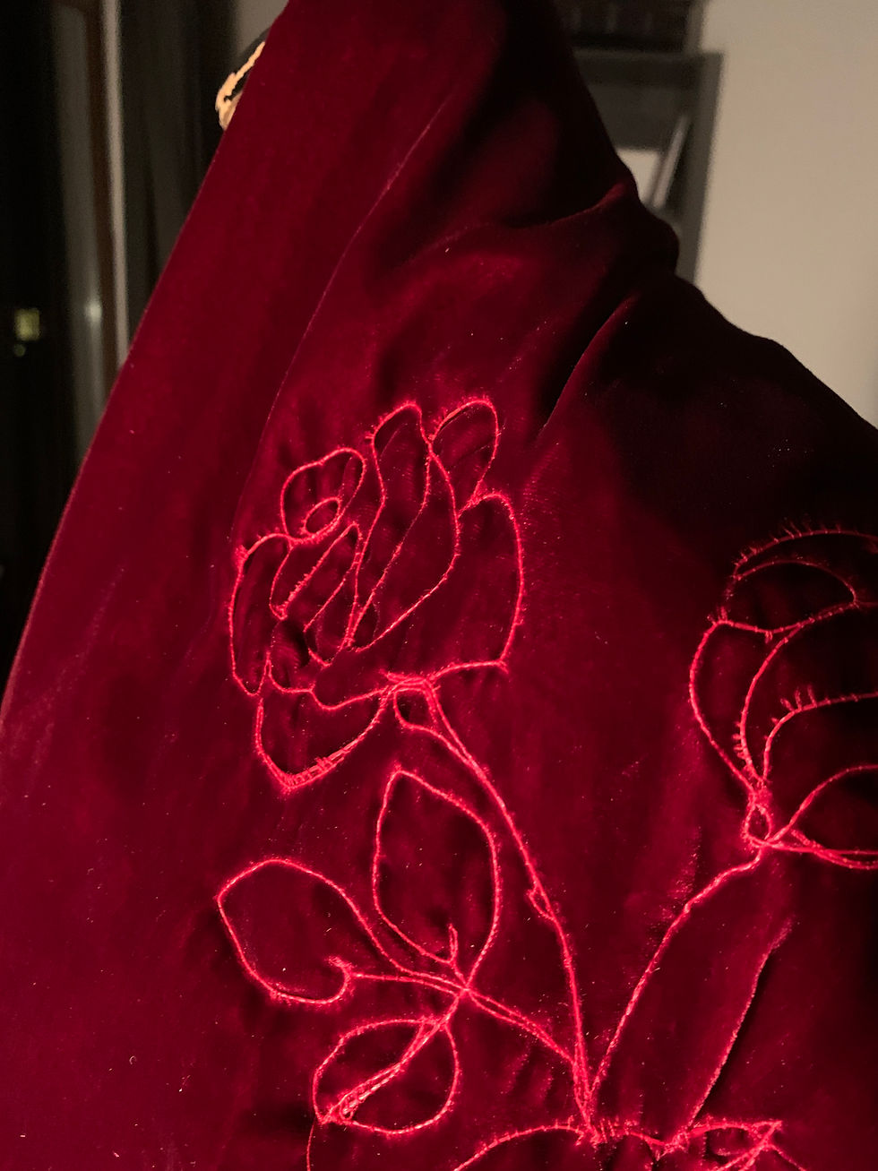 Thumbnail: ‘Roísín Dubh’ - Dark Red Long