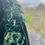 Thumbnail: ‘Róisín Glas - Connemara Green