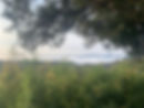 1a2b7799-55a4-4d5b-bb2c-b82a0a71f0af.jpeg
