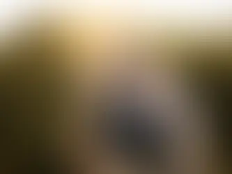 How Focused Relational Work Can Accelerate Healing”