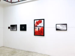 NO LE DIGAS AL ABUELO