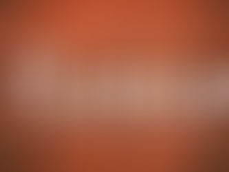 El manual secreto de los campeones: "The playbook"