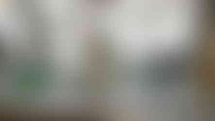 Grade 5 & 6 Wire Sculptures