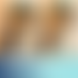 BHM portrait of Bessie Coleman