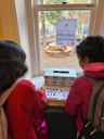  Forest of Reading voting for your favourite book