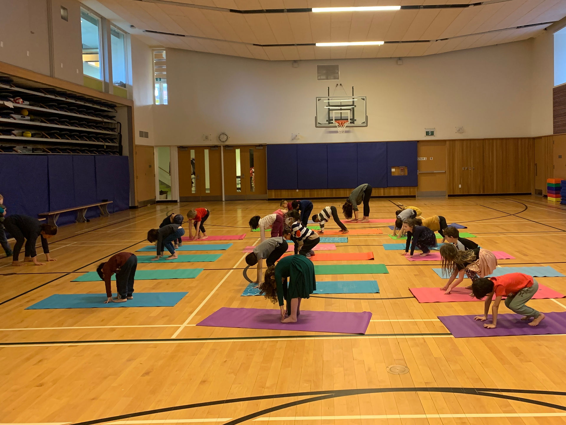 Students bend over and touch their toes