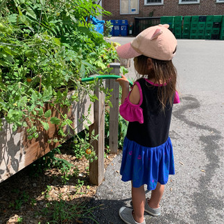 Student watering the planters