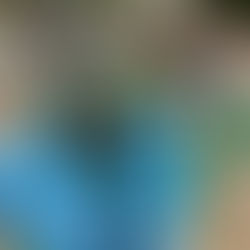 COVID-19 Policy Updates and Important Info on School and Parent Events