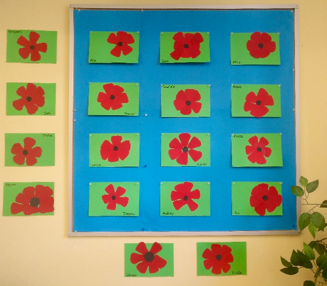Poppies by the SK class