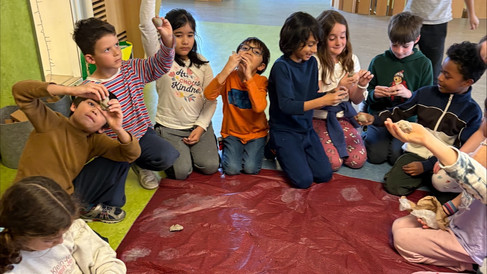 learning about seed balls