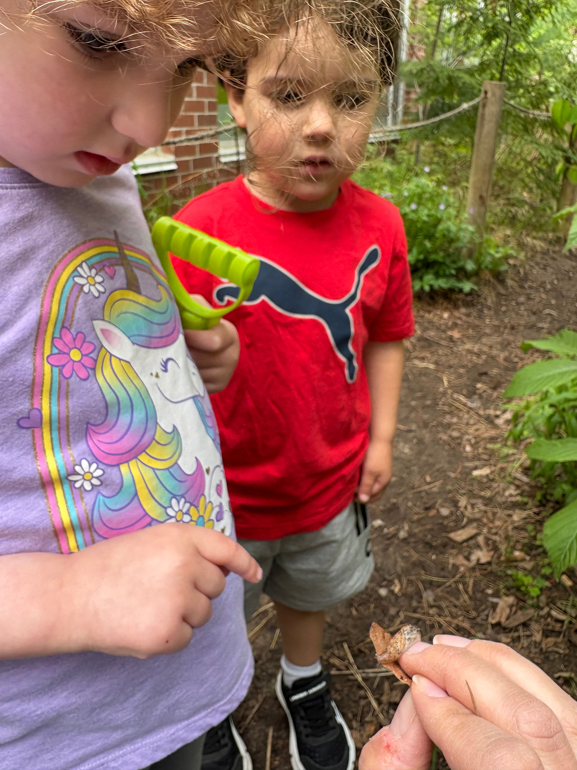children exploring outdoors