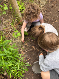 children exploring outdoors