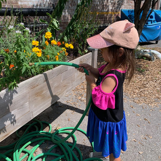 Student watering the planters