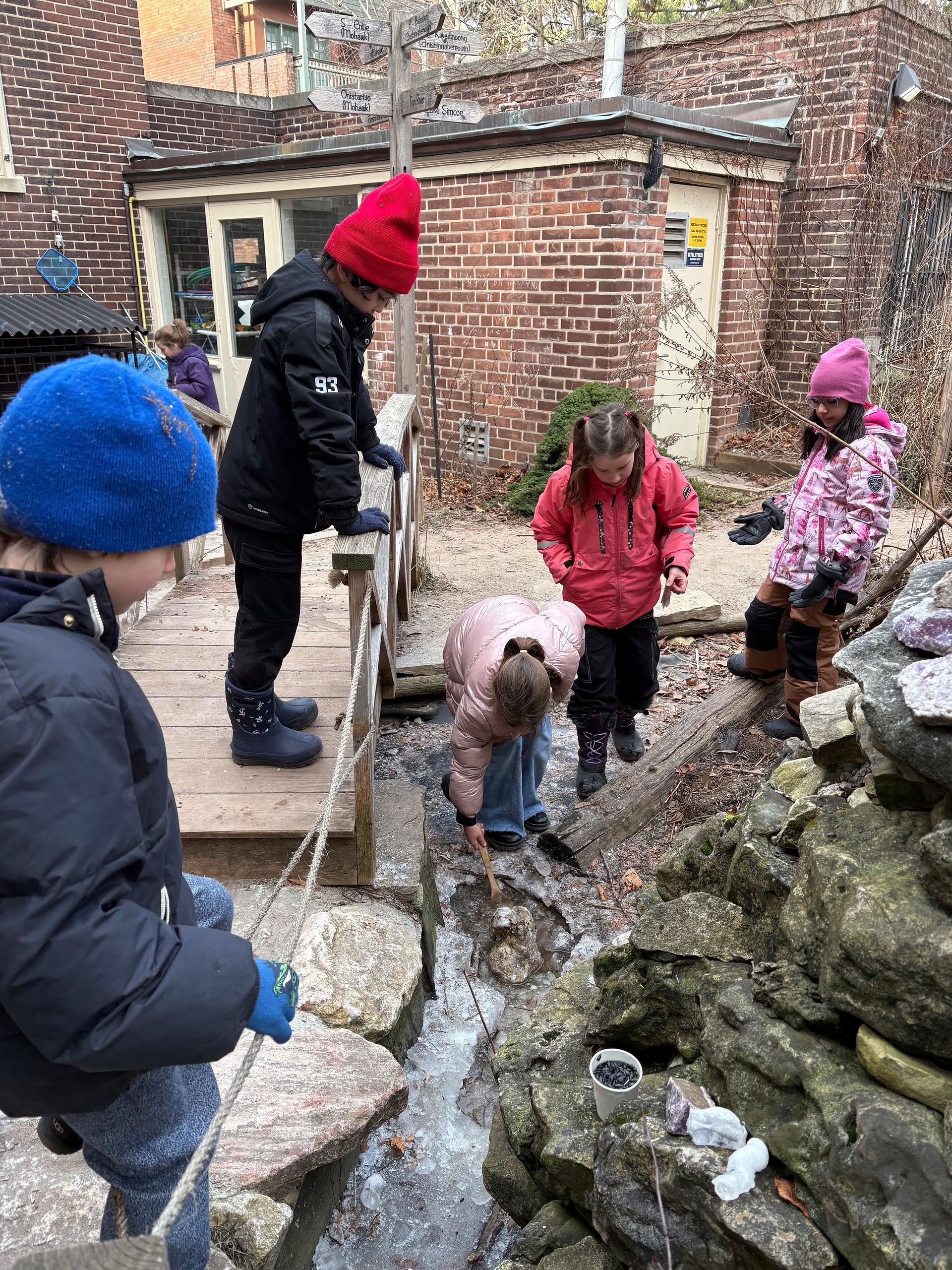 children playing outside