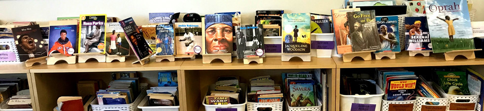 image of bookshelf with Black History Month books