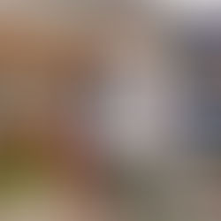 Rosh Hashanah, Curriculum Night, Orange Shirt Day, and More