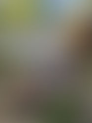 Parent Teacher Interviews, Islamic Heritage Month Celebrations, Halloween Reminders, JICS Alumni Homecoming, A Parent Education Workshop & More! 