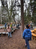 kids looking at tree