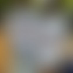 "All Parents" Meeting, JICS at the Movies & JICS Clothing