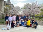  Grade 3 visit to see blooming Cherry Blossoms (Sakura). Welcoming the start of Asian Heritage Month!