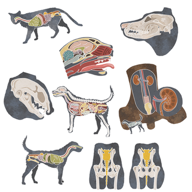 Illustration pour site web professionnel