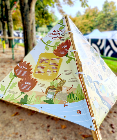 Communication illustrée profesionnelle bretagne