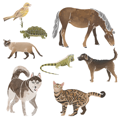 Illustration pour site web professionnel