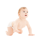 bright-closeup-picture-crawling-curious-
