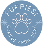 Paw Everything's Possible Circle Sticker Edit_edited.png