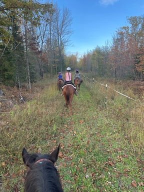 Horse ride at D&E Critter Ranch
