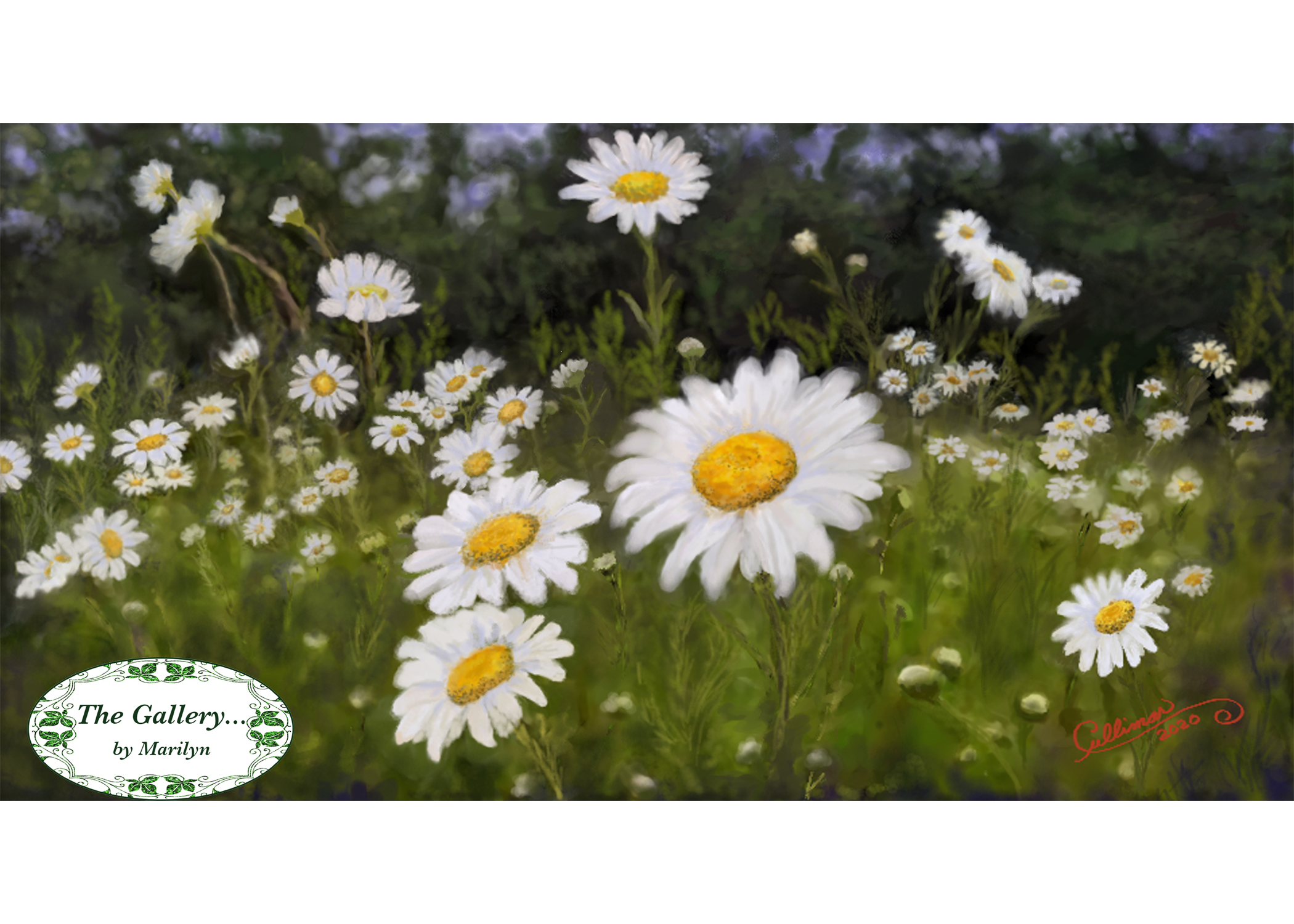 Field of Daisies