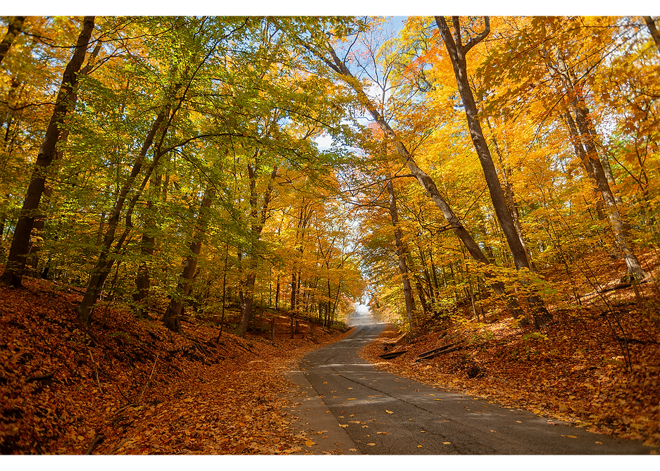 Domitrovich Realty Real Estate Agency Ontonagon Michigan