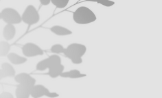 Certified Arborist Services in Michigan