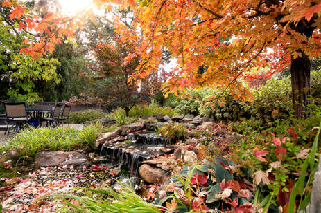 exterior real estate photo