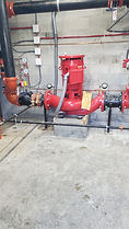 Fire Sprinklers
